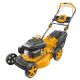 Ingco Gasoline Lawn Mower