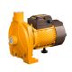 Ingco Water Pump