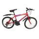 VICTORY MOUNTAIN BICYCLE 20