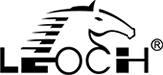Leoch Brand