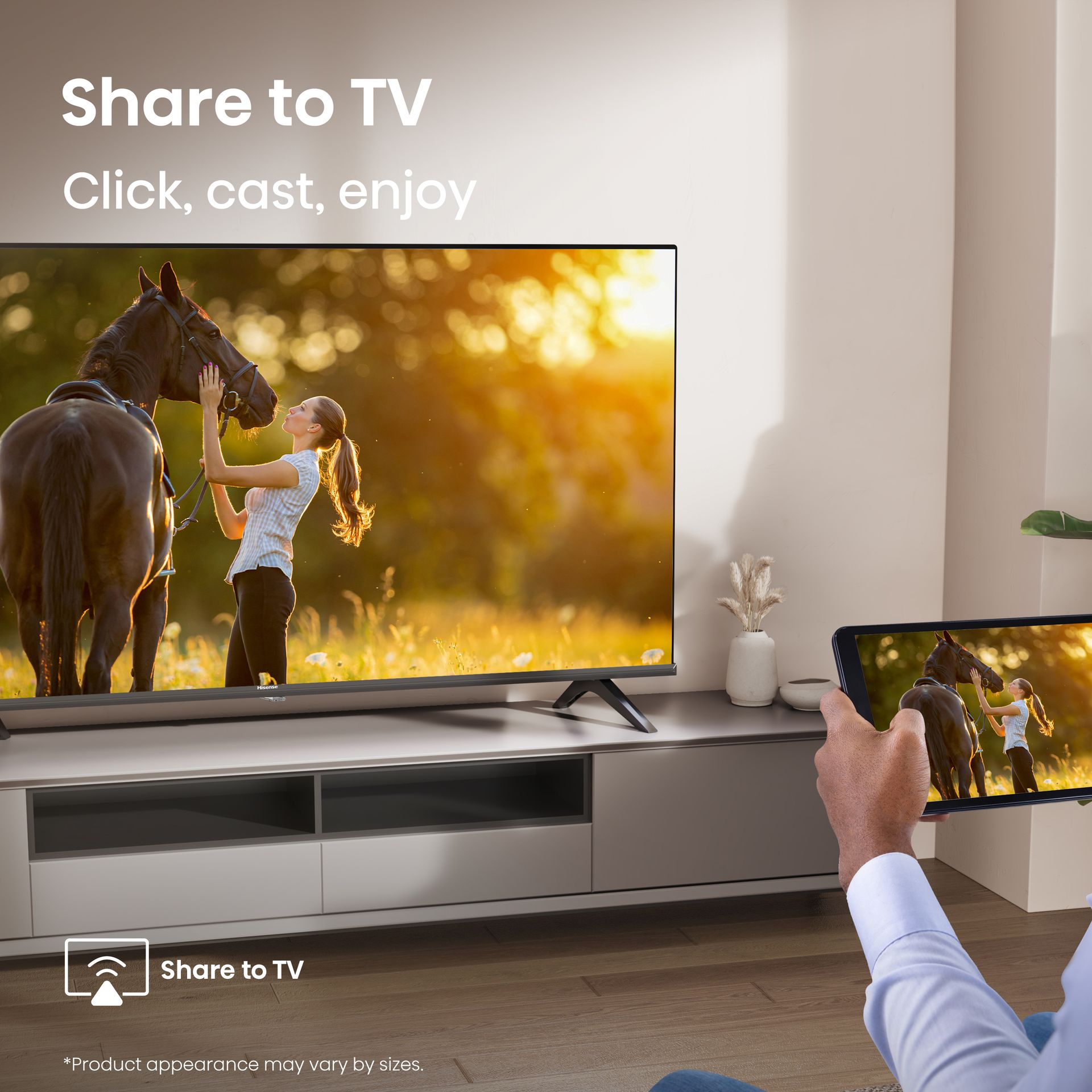 Share to TV
